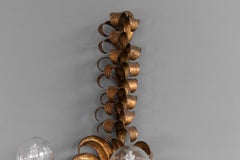 Pair of Wall Lights