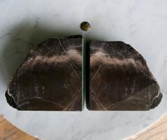 Rare Bookmatched Black Petrified Wood Polished Monolithic Bookends