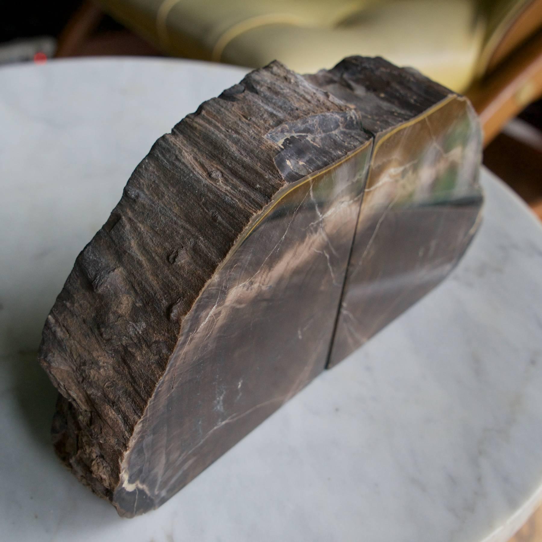 Seltene, aufeinander abgestimmte, monolithische Buchstützen aus schwarzem versteinertem Holz, poliert (amerikanisch) im Angebot