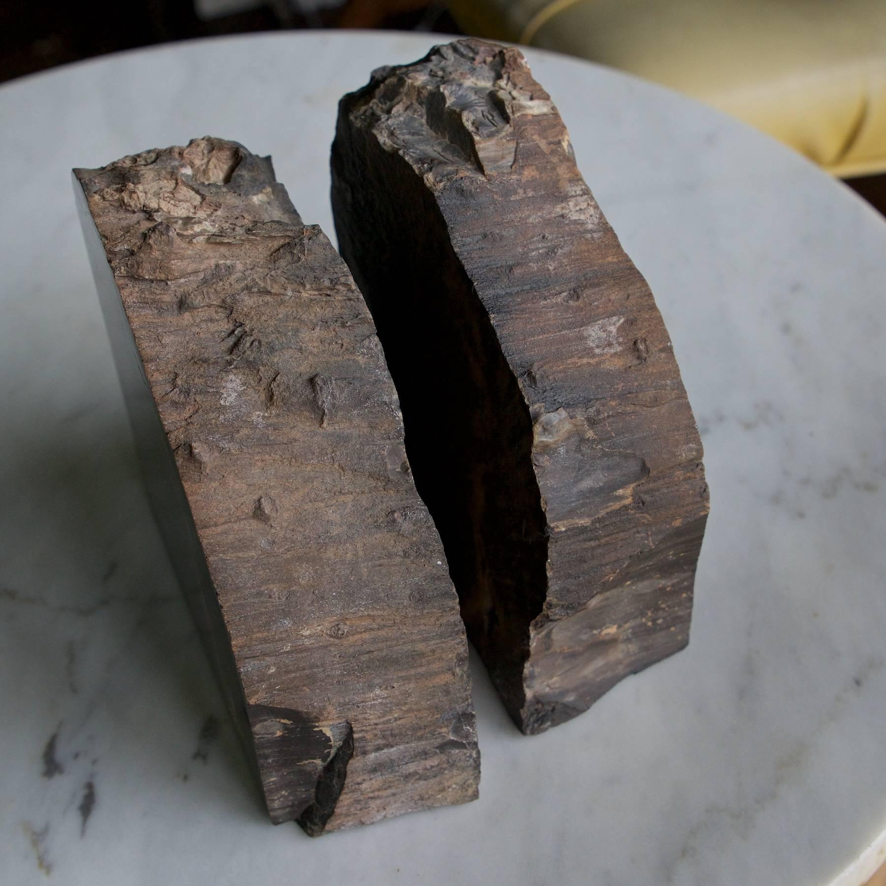 Seltene, aufeinander abgestimmte, monolithische Buchstützen aus schwarzem versteinertem Holz, poliert (Mitte des 20. Jahrhunderts) im Angebot