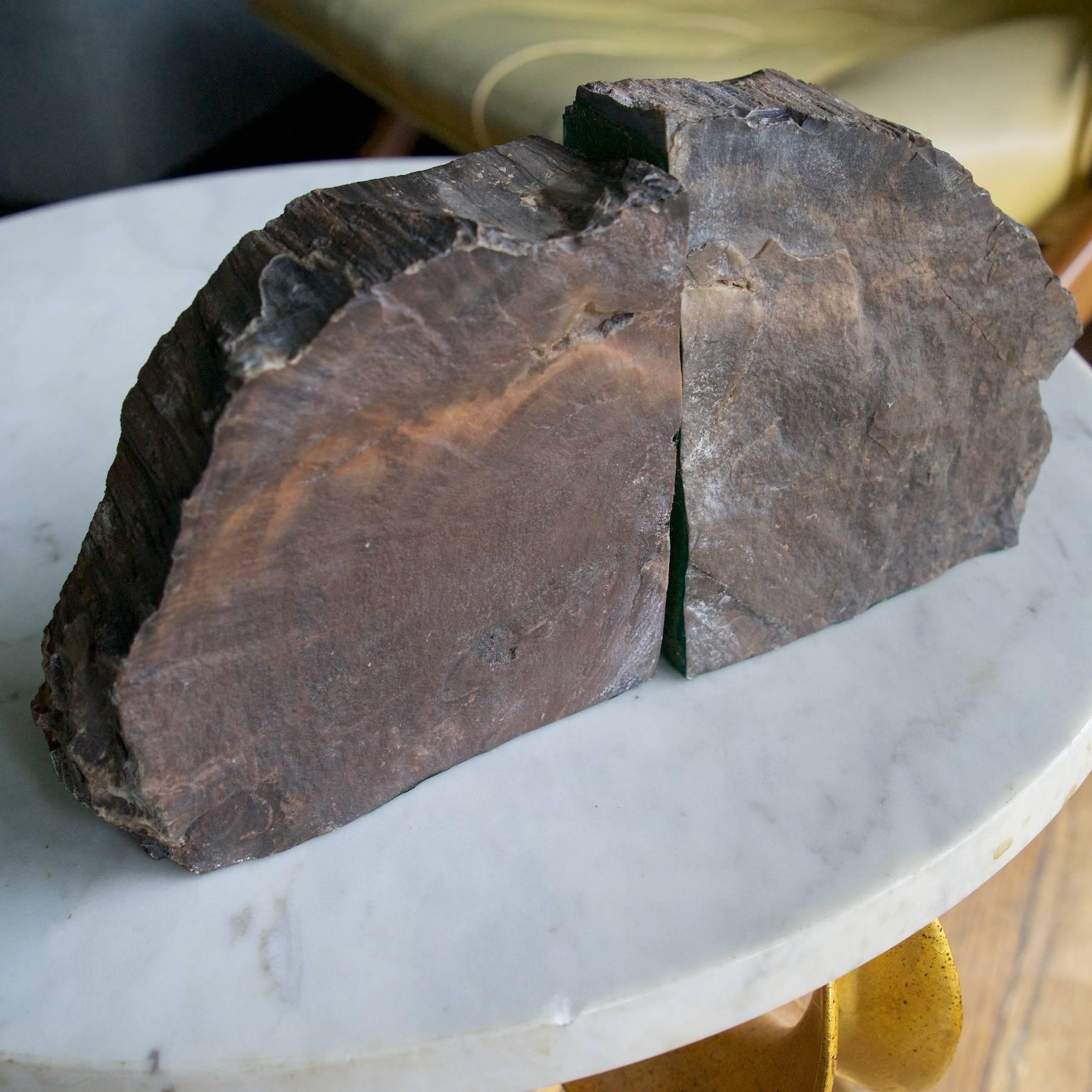 Post-Modern Rare Bookmatched Black Petrified Wood Polished Monolithic Bookends For Sale