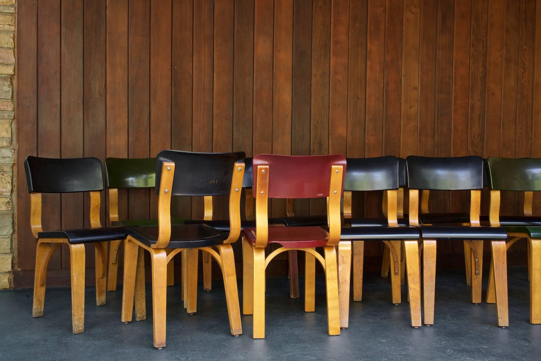 A big collection of 12 side chairs. nine black, two green, one red. All functional strong and usable.

Several Seat bottoms have chips to the sides/bottom edges.  The red one has a large chip to the rear, some have small chips to the sides.  There