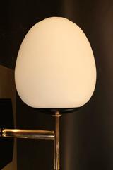 Pair of 1950s Sconces by Maison Arlus
