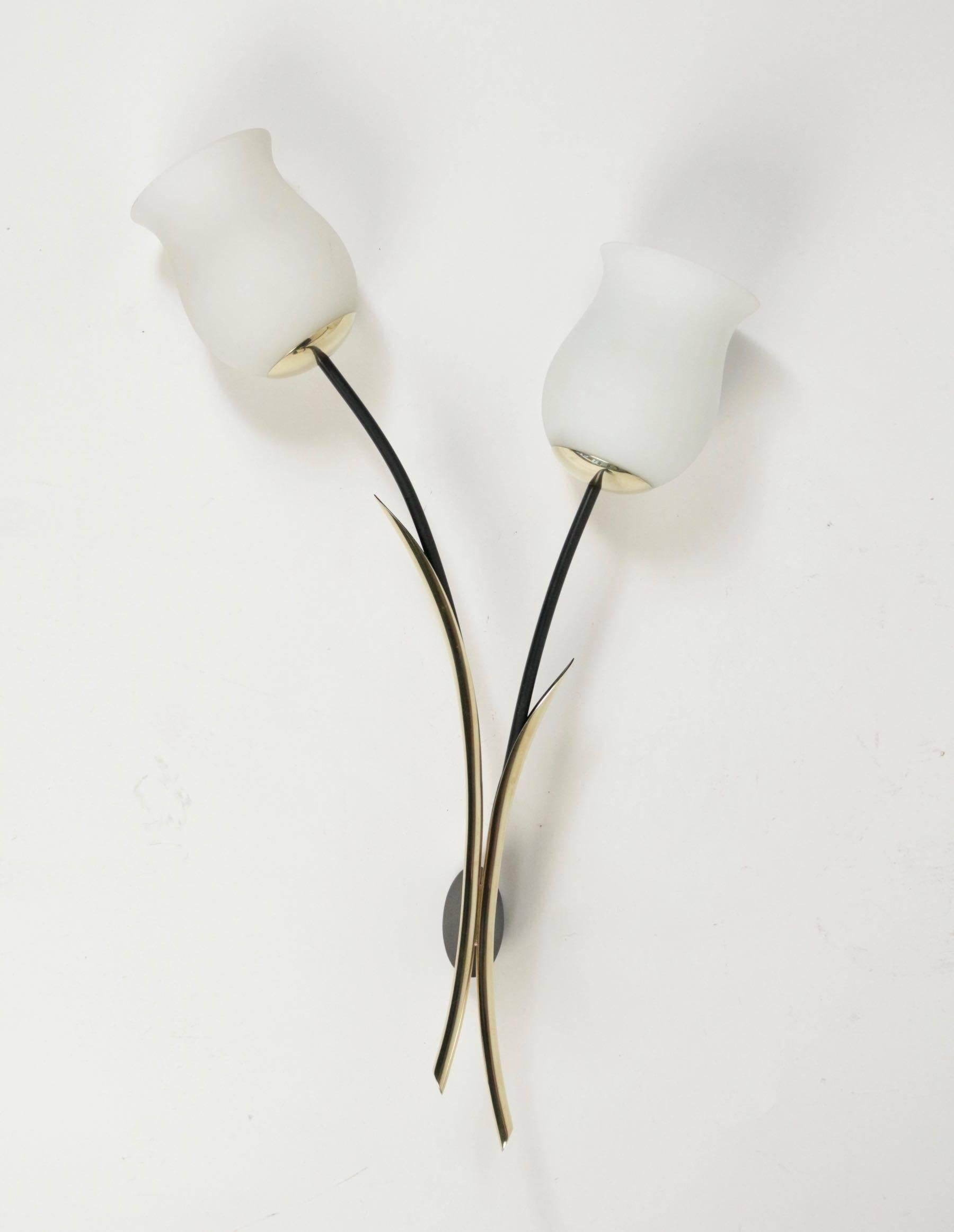 Large pair of 'Tulip' sconce, Arlus 1950.

Two black lacquered curved stem support two opaline glass lampshades in shape of tulip blossom.
Backplate made of brass with two stylized leaves.
    