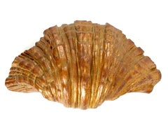 1930 Giant Shell Wall Diffuser by Serge Roche