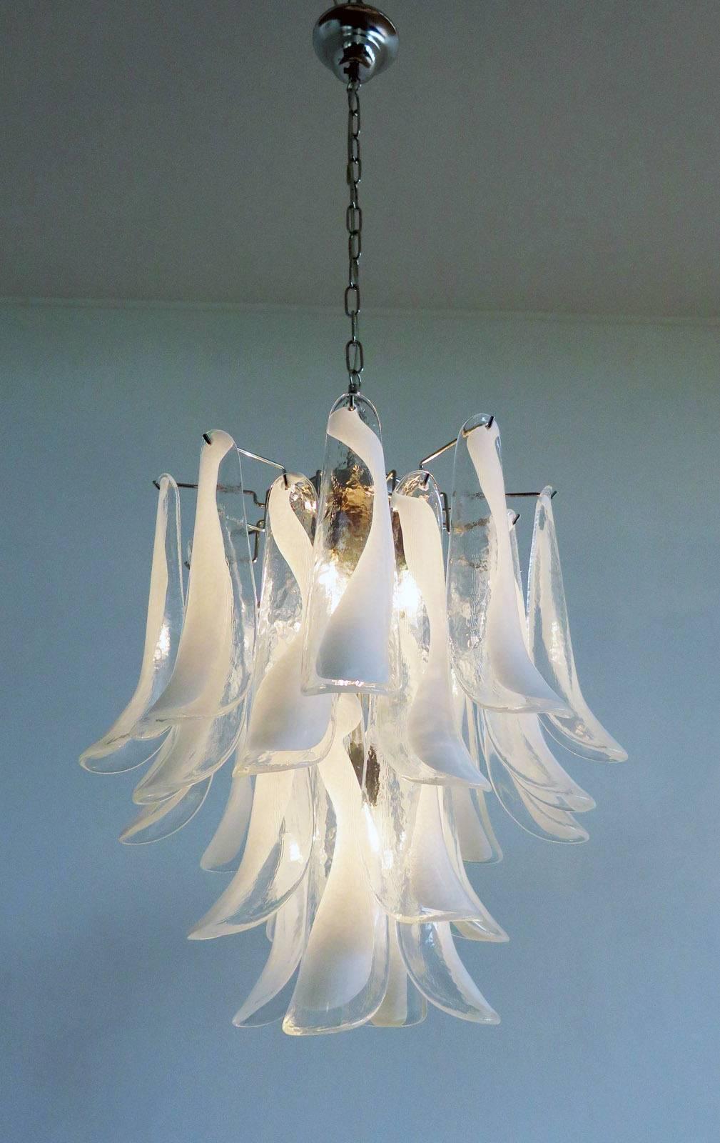 Italian vintage Murano chandelier made by 26 glass petals (transparent and white “lattimo”) in a chrome frame.

Dimensions: 47.25 inches (120 cm) height with chain; 23.62 inches (60 cm) height without chain; 19.70 inches (50 cm)