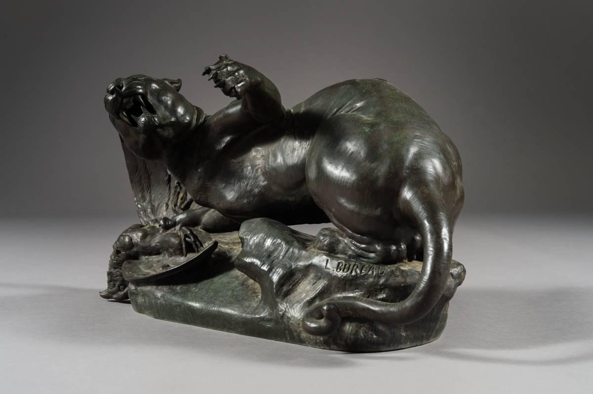 XIXe siècle Modèle ancien de lune en bronze bien fait d'une lionne par Leon Bureau en vente