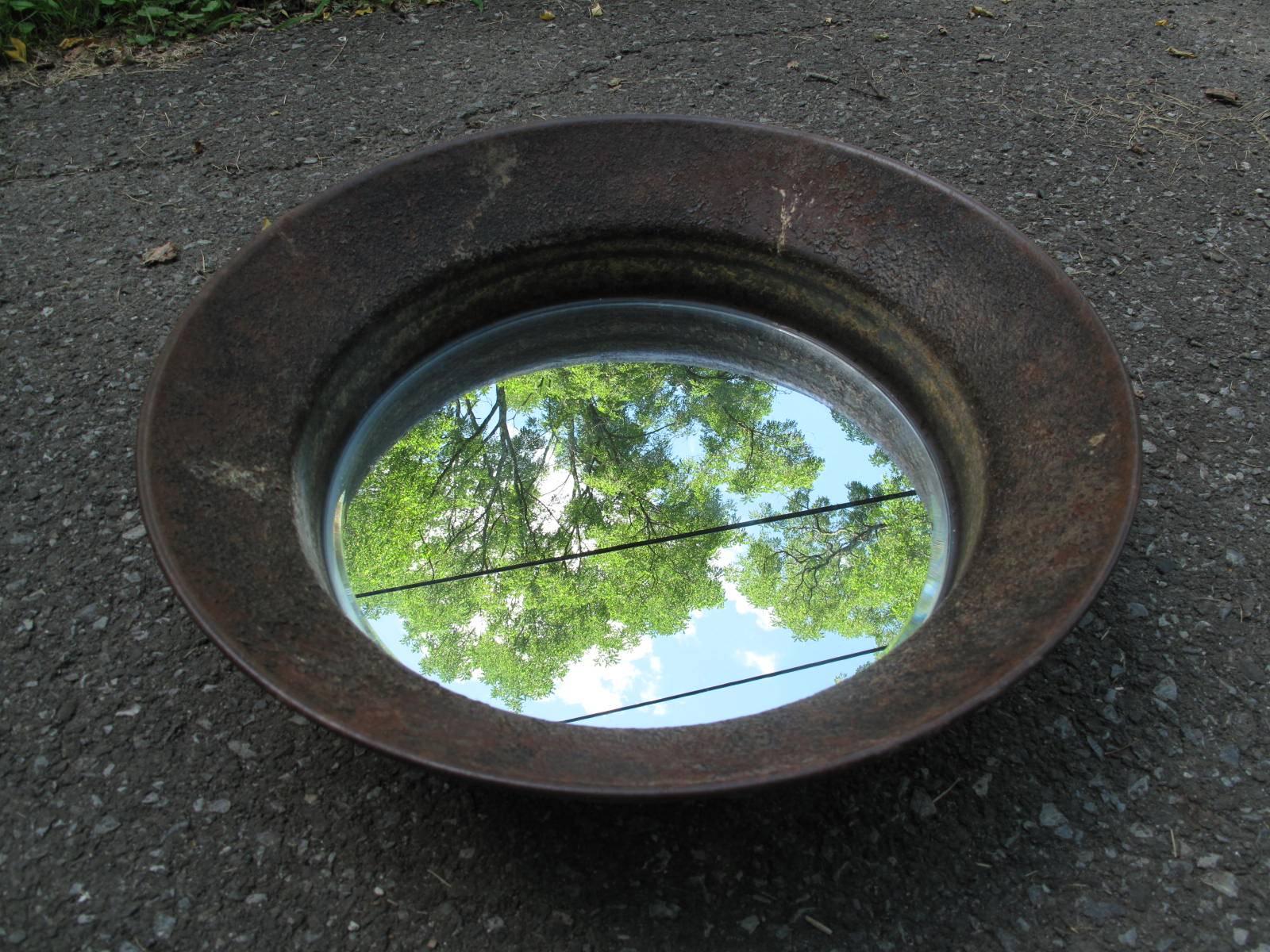 Industrial Chicken Brooder Mirror