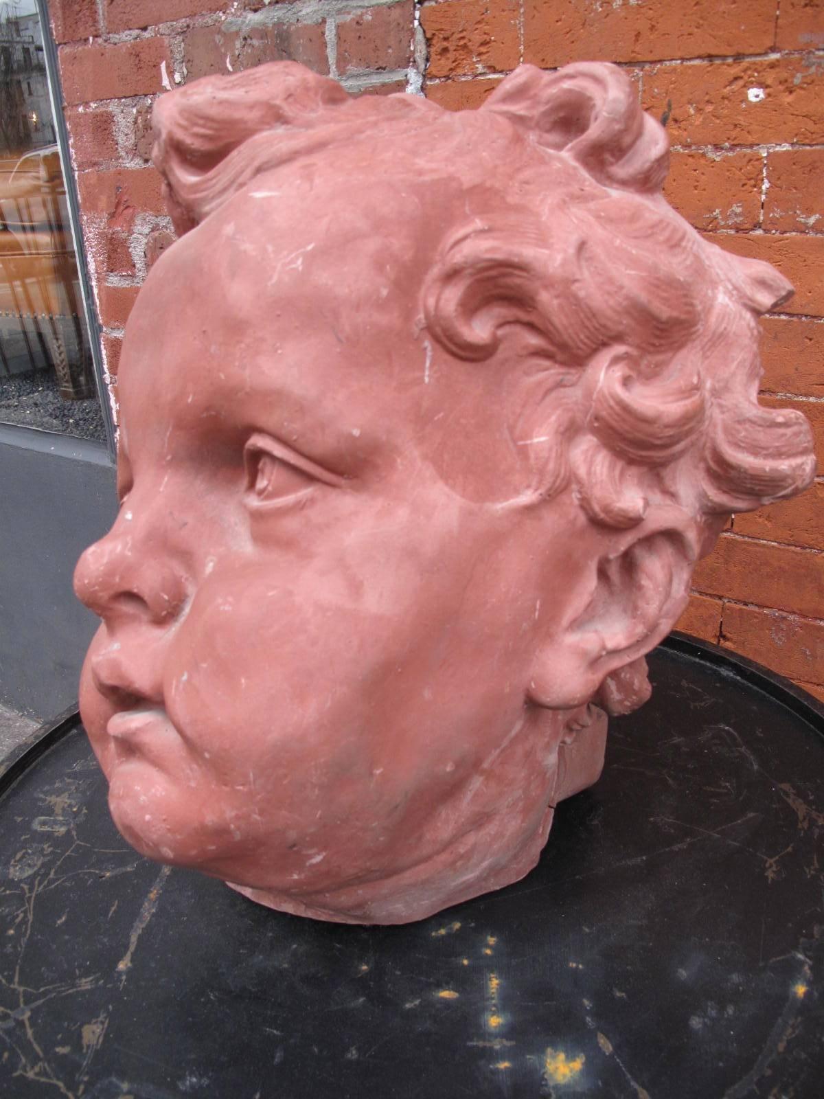 Monumental terracotta putti bust. Grand head of a cherub.