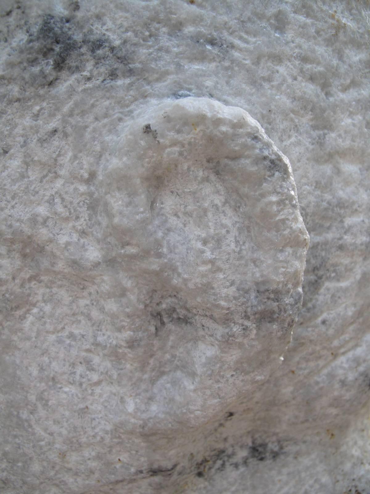 Monumental Granite Male Bust 2