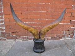 Victorian Steer Horns on Pedestal