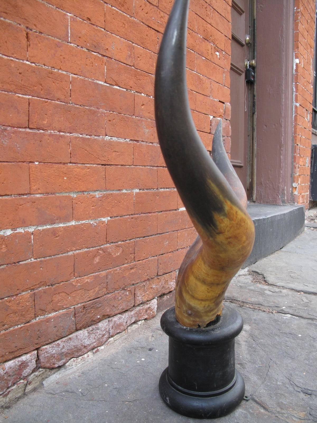 Victorian Steer Horns on Pedestal In Fair Condition In Brooklyn, NY