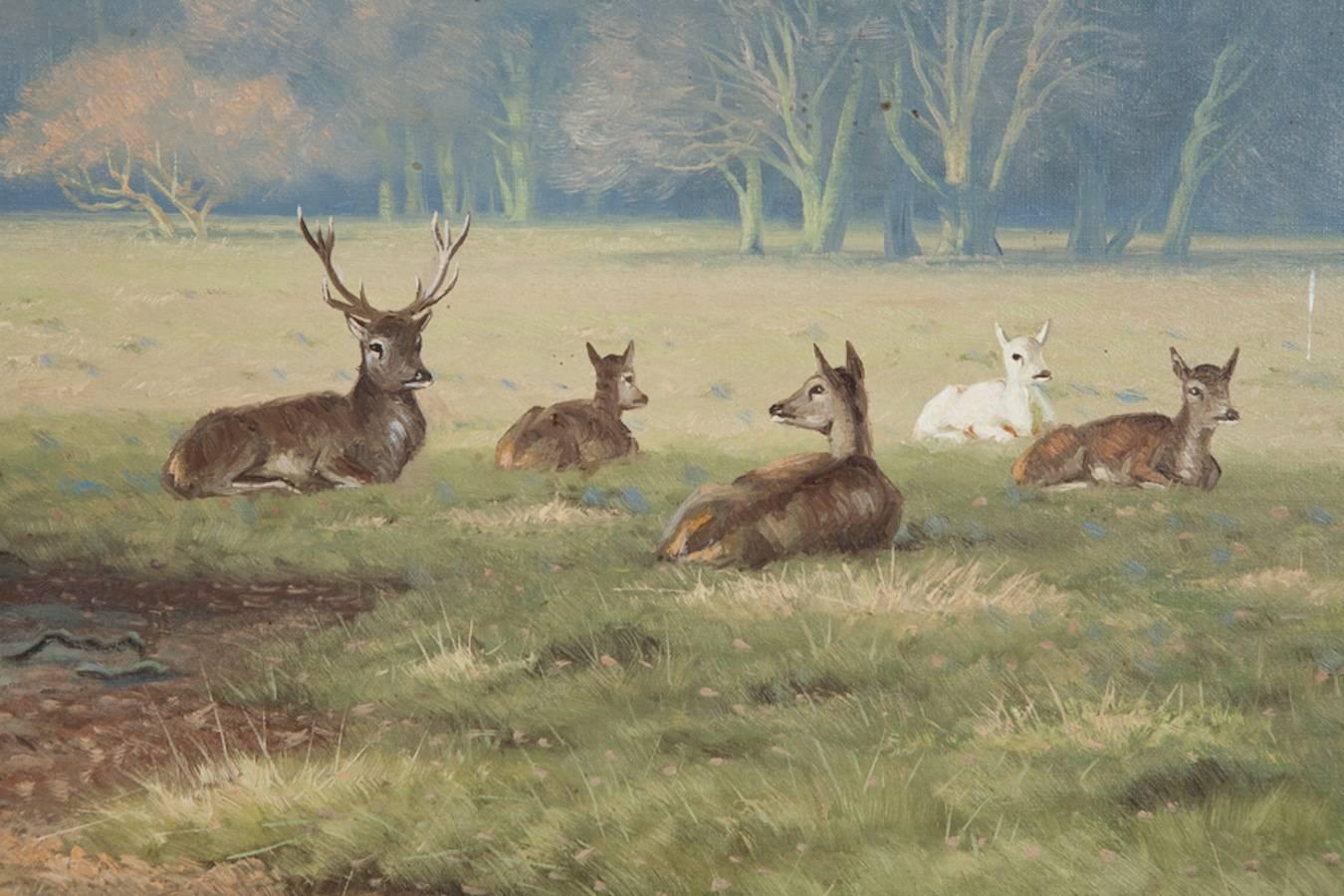 deer park canvas