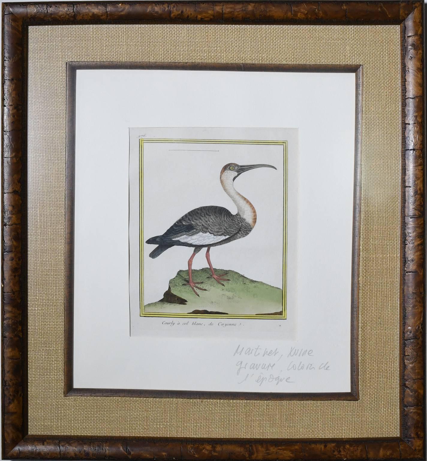 Set of Eight Hand-Colored Bird Engravings by Francois Nicolas Martinet In Good Condition In Miami, FL