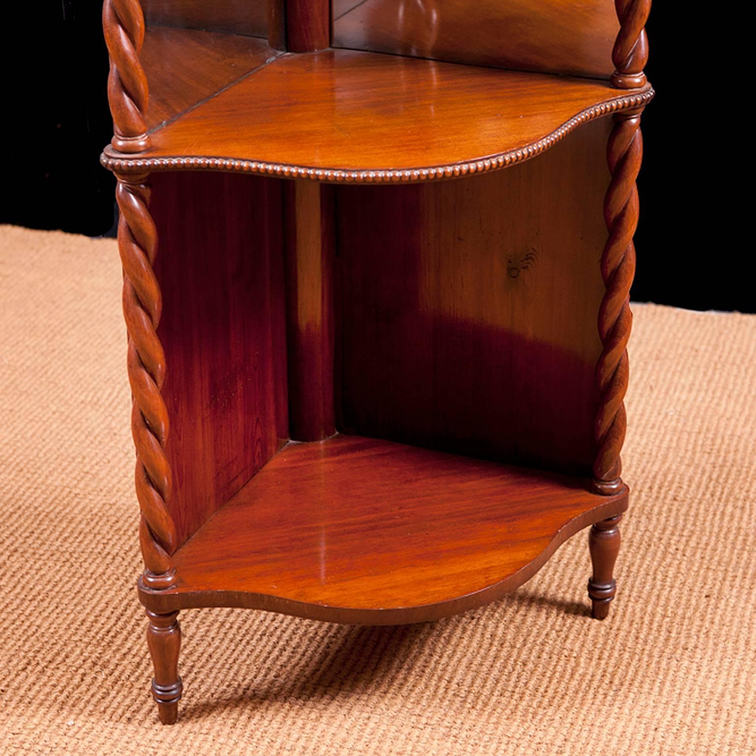 Victorian Corner Étagère in Mahogany with Mirrored Back Panels, Denmark, circa 1835