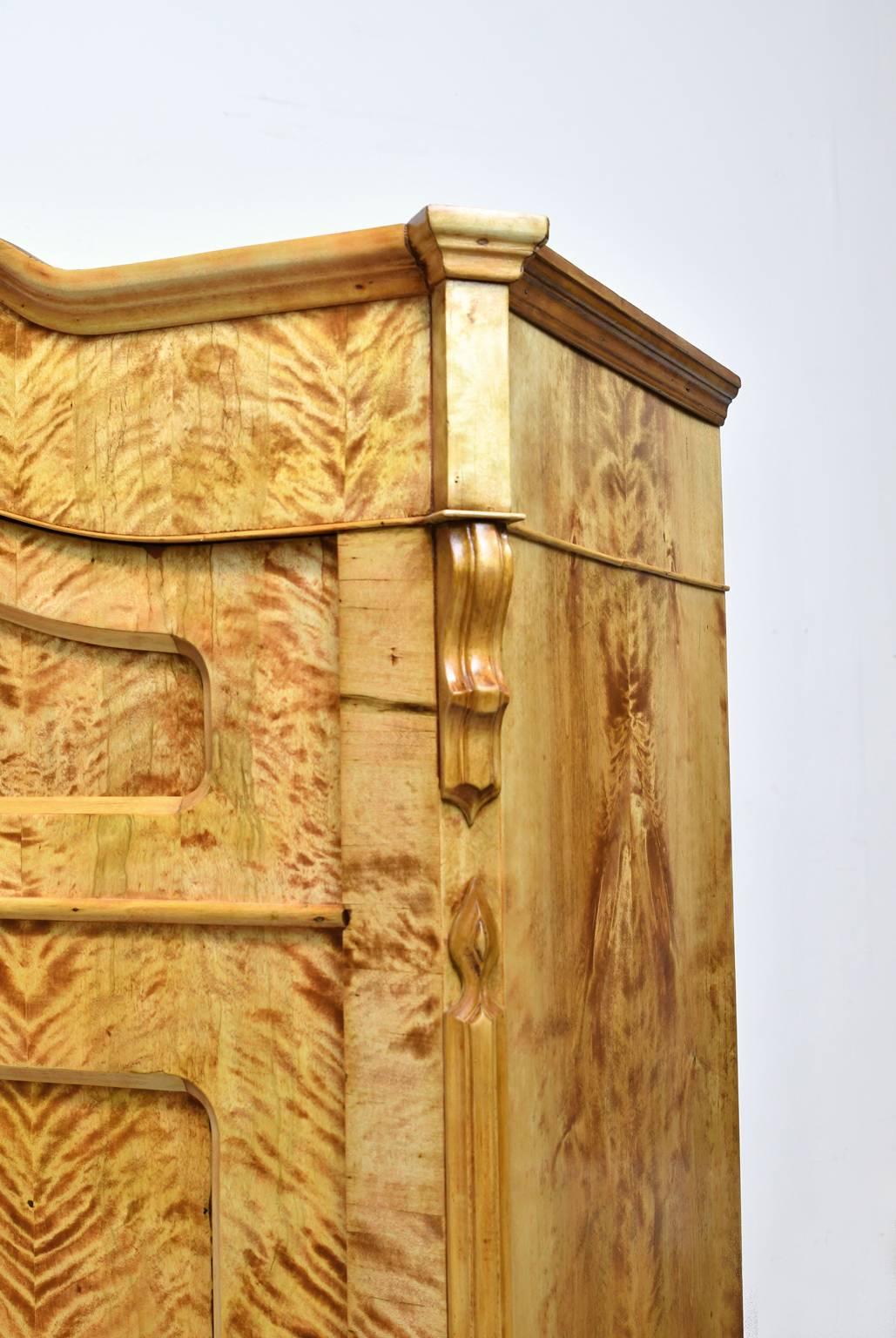 North German Single-Door Biedermeier Armoire in Fire Birch, circa 1845 3