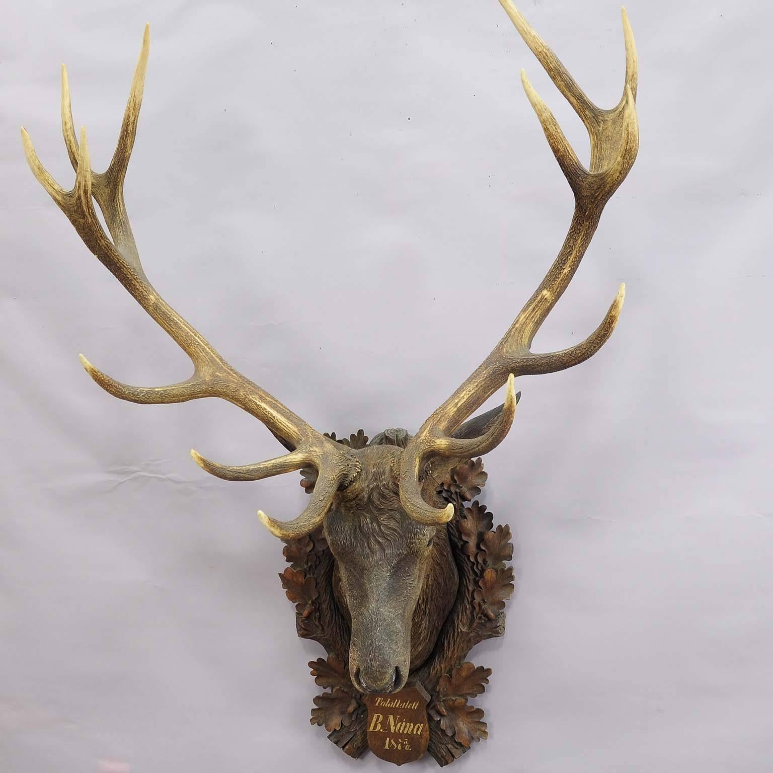 A world-class Black forest wooden carved lifesize stag's head with real antlers. Carved with fine details and painted in naturalistic style, mounted on a wooden carved plaque with inscription 1876. Carved by the famous Austrian woodcarver Rudolph