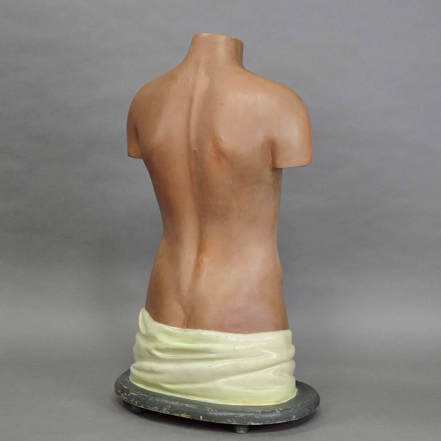 German Antique 3D Anatomical Torso Made by Somo, circa 1930