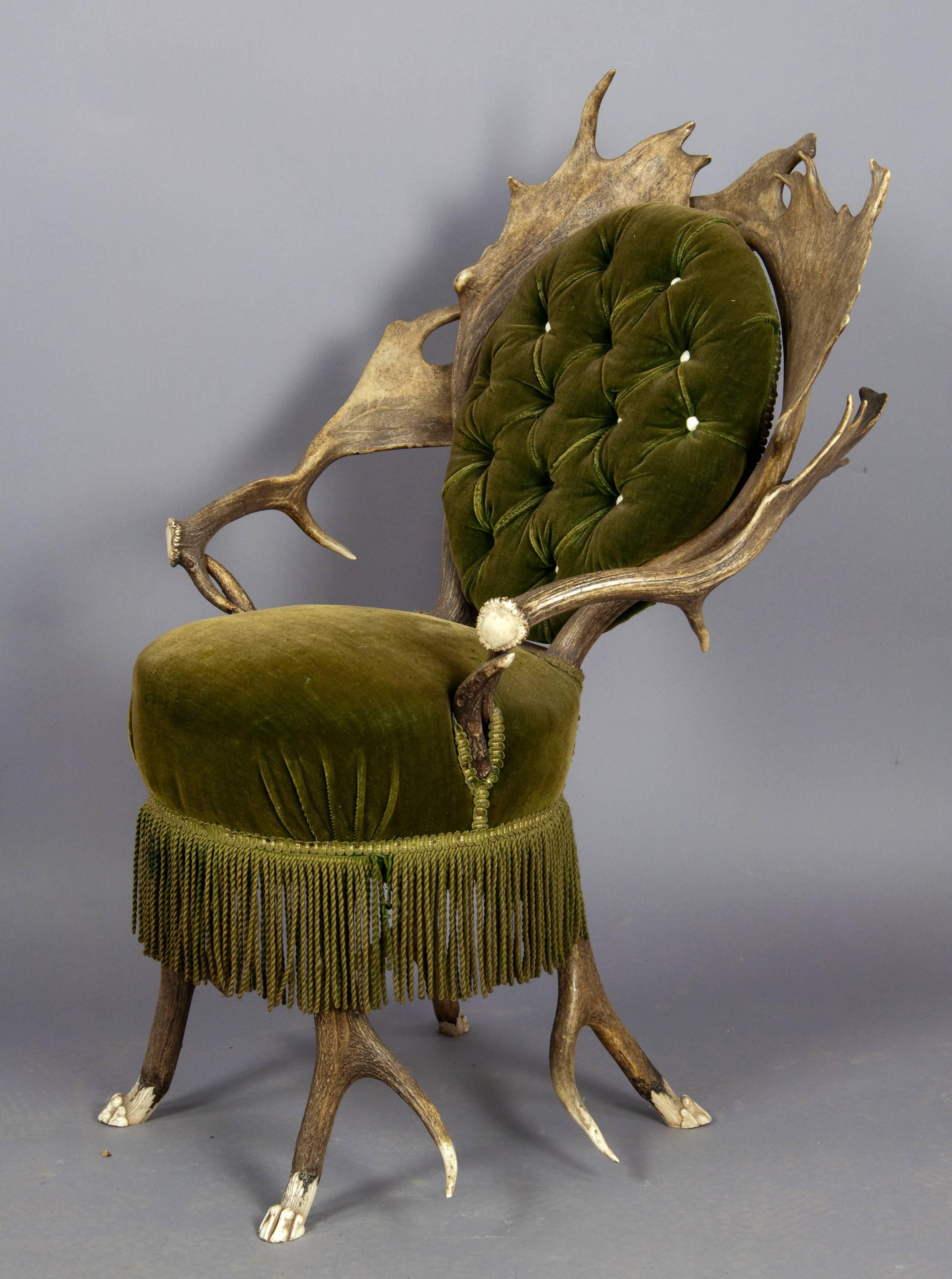 Pair of Rare Antler Parlor Chairs, French, circa 1860 In Good Condition In Berghuelen, DE