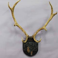 Black Forest Red Deer Trophy from Salem, Germany, 1831