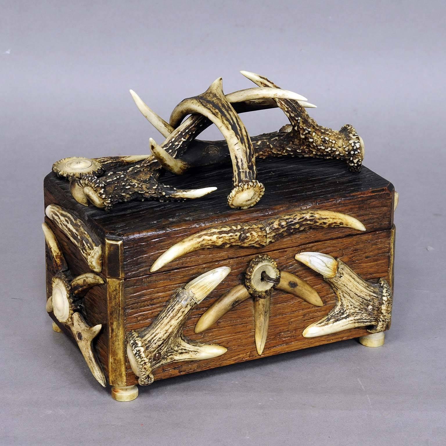 A wooden carved casket decorated with various antler pieces and carved horn roses. Feet made of Horn. Comes along with its original key, circa 1900.