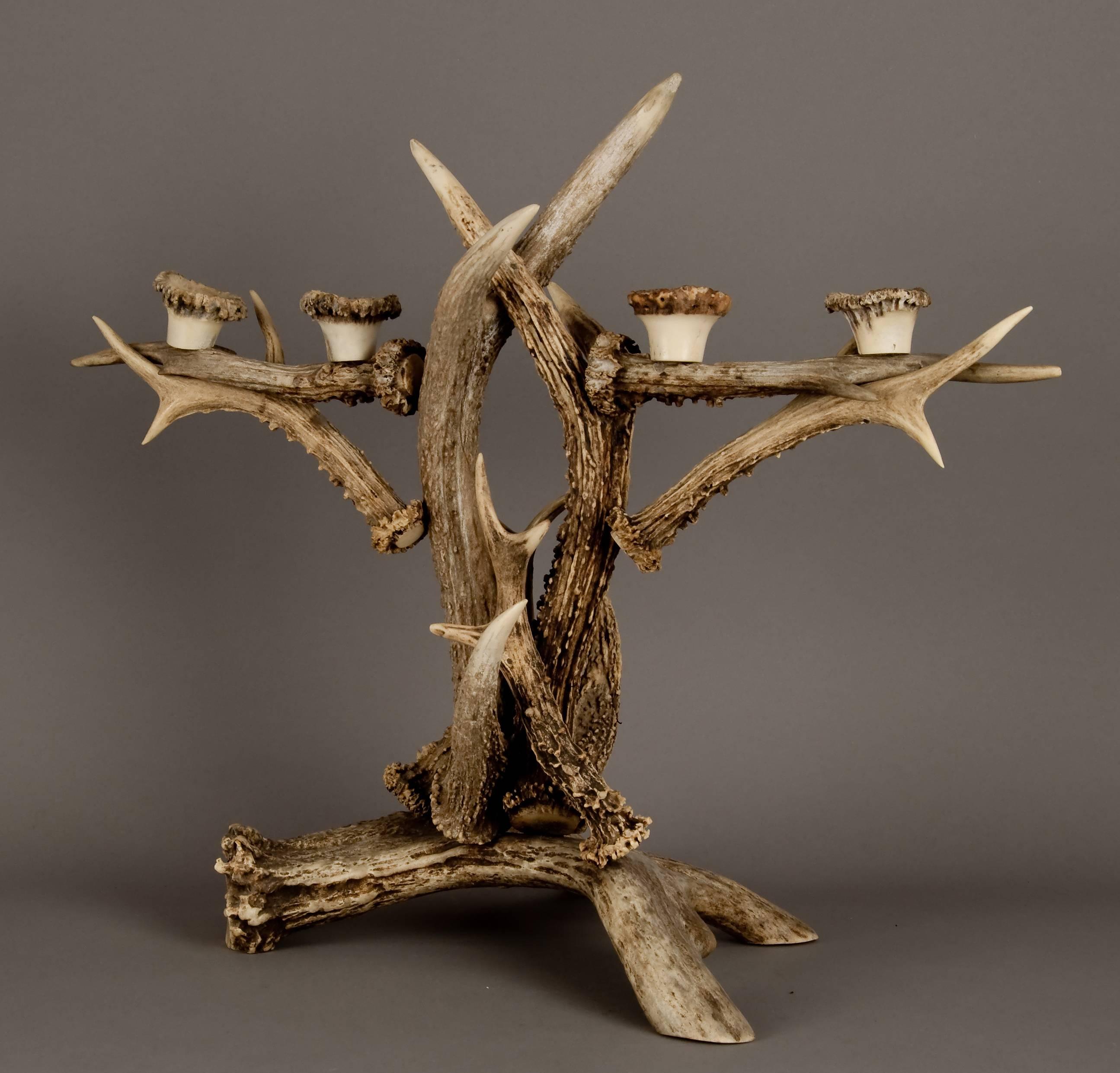 Antique large antler candleholder made of real antlers from the deer and elk, manufactured, circa 1900.