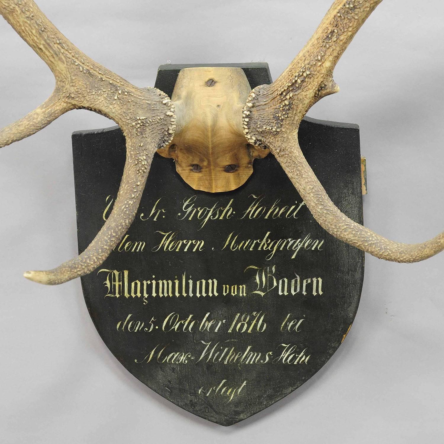 Antique Black Forest Deer Trophy from Salem, Germany, 1876 In Excellent Condition In Berghuelen, DE