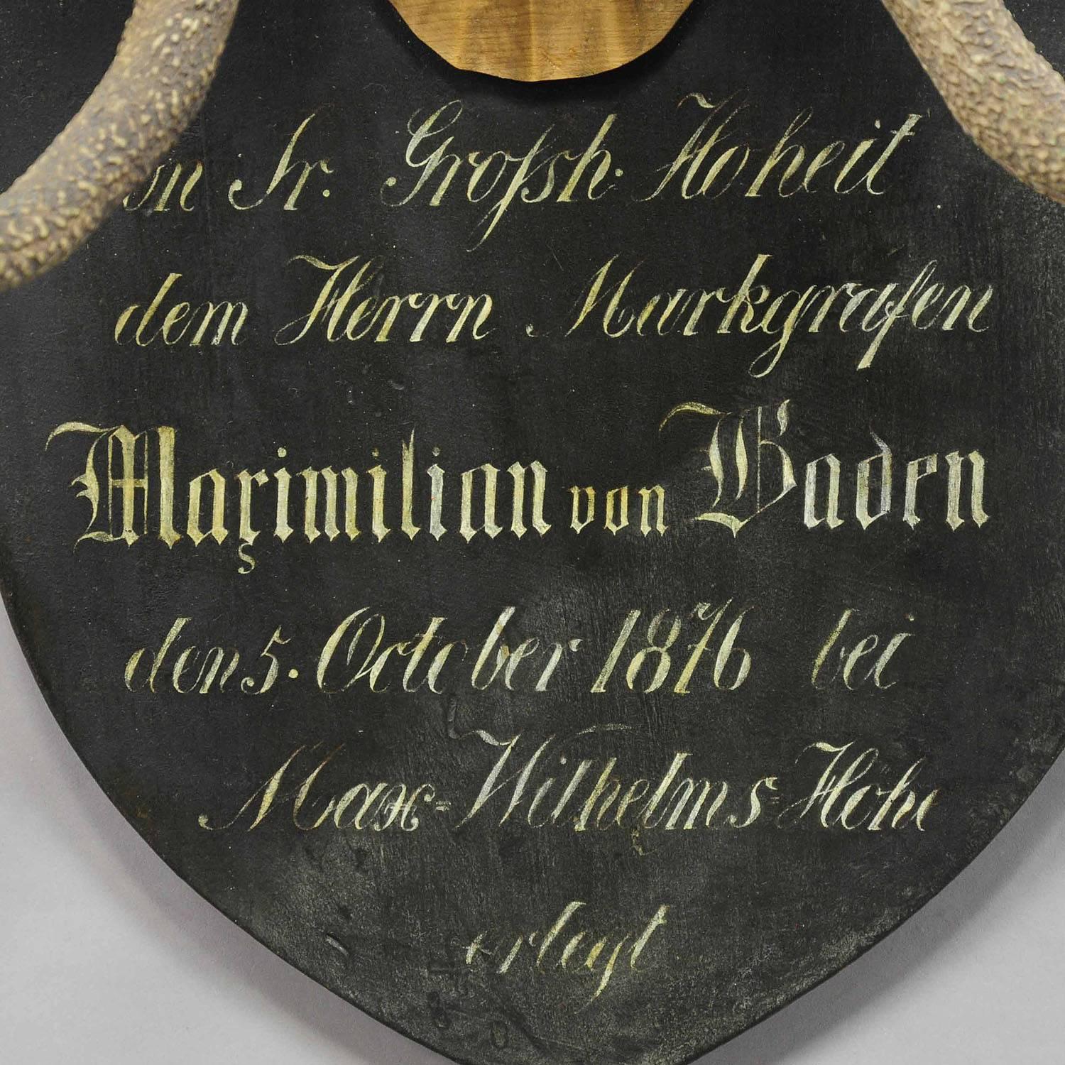19th Century Antique Black Forest Deer Trophy from Salem, Germany, 1876
