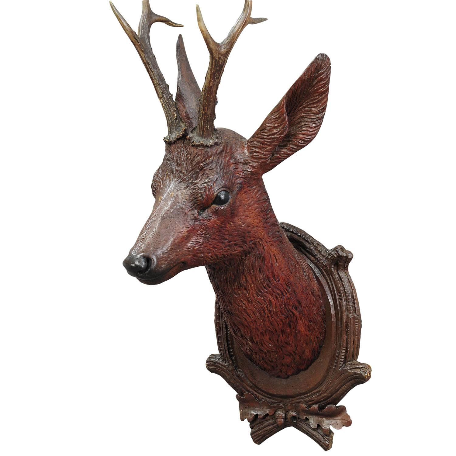Black Forest Carved Wood Deer Head with Real Antlers