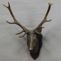 Antique Wooden Carved Stag Head with Real Antlers