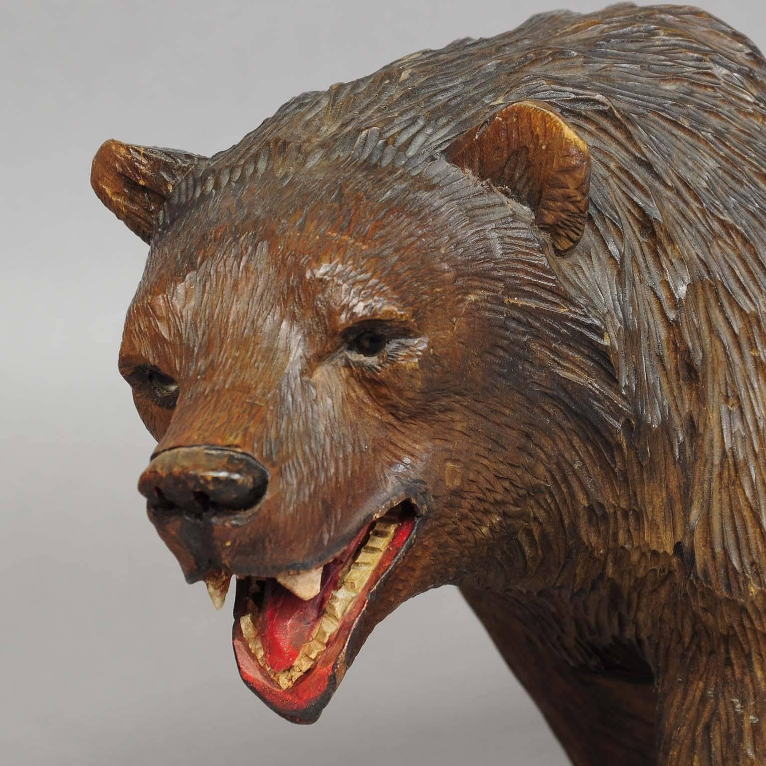 20th Century Large Wooden Strolling Bear Carved in Brienz