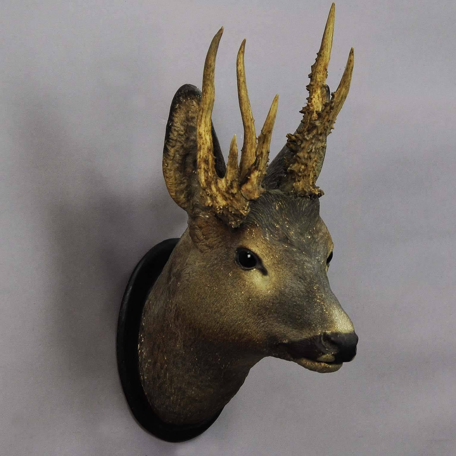 Manorial Black Forest Deer Head with Abnorm Antlers In Excellent Condition In Berghuelen, DE