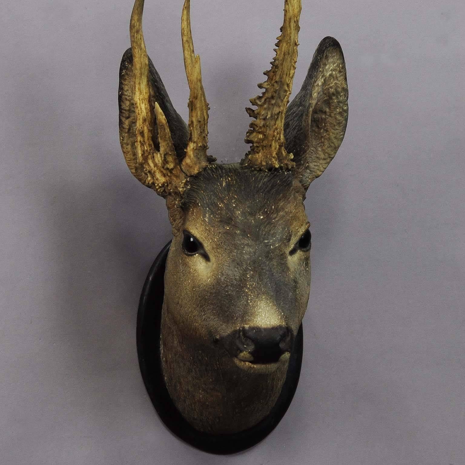 19th Century Manorial Black Forest Deer Head with Abnorm Antlers