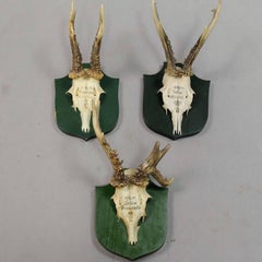 Six Deer Trophies on Plaques from Palace Salem, Germany
