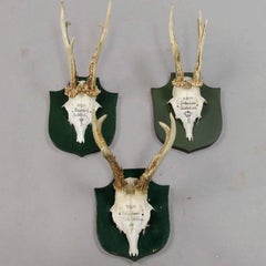 Six Deer Trophies on Plaques from Palace Salem, Germany