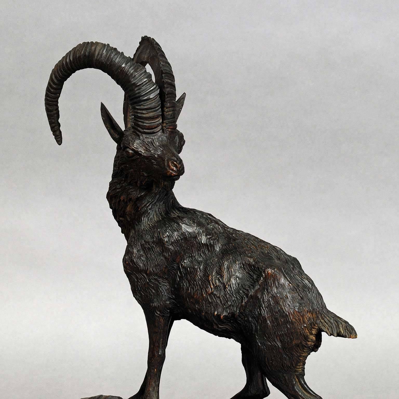 An antique cheekily carved Black Forest style sculpture of an ibex. Black Forest or Austria, circa 1900.
