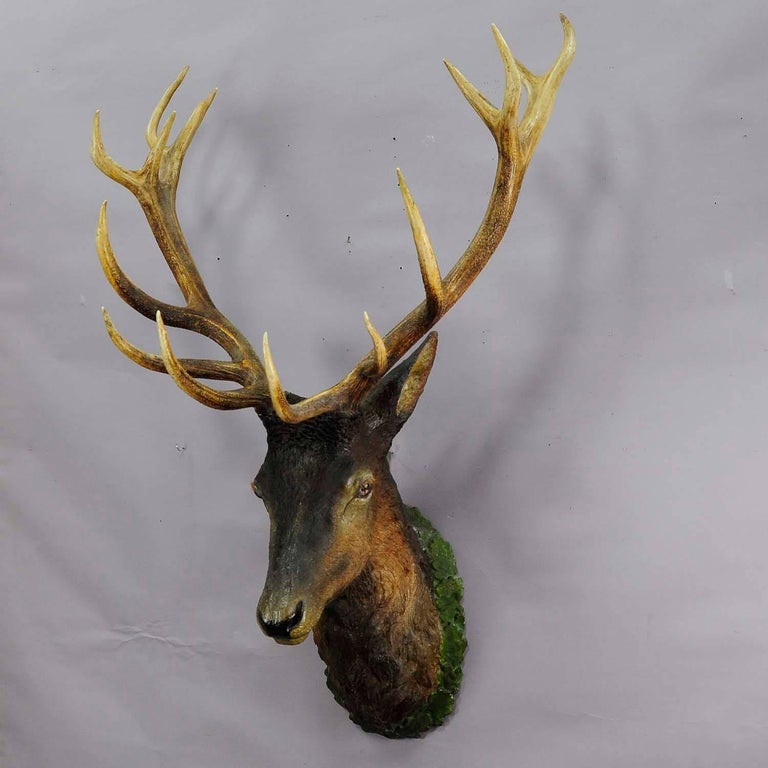 Great Lifesize Black Forest Stag Head Made Of Plaster Circa 1890 Great Lifesize Black Forest Stag Head Made Of Plaster Circa 1890 For 3