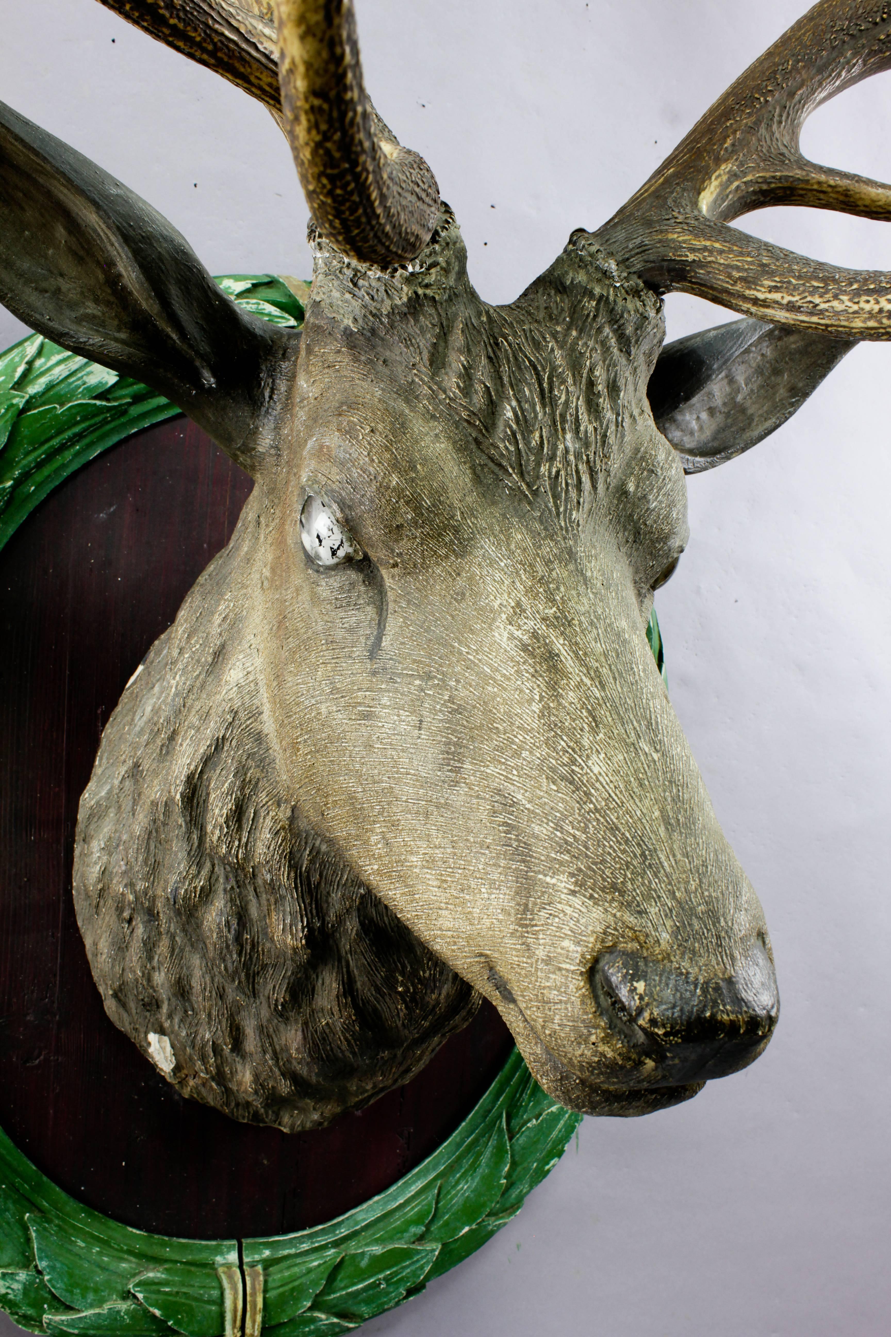 Antique Carved Wood Stag Head with Huge Antlers (Geweih)