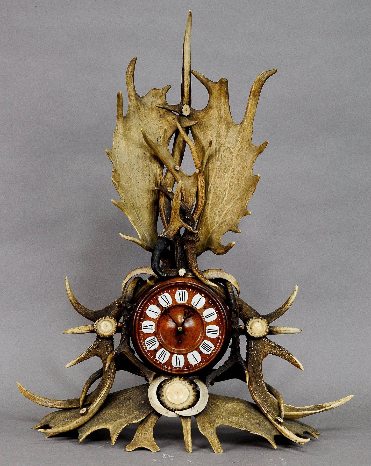 A rare antique lodge style mantel clock oakwood case, richly decorated with antlers from the deer and fallow deer, mountain goat horns and wildboar tusks. 8-day clockwork in working order, revised by a clockmaker. Executed circa 1900.