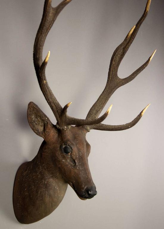 Black Forest Papier Mâché Stag Head, 1900 For Sale at 1stdibs