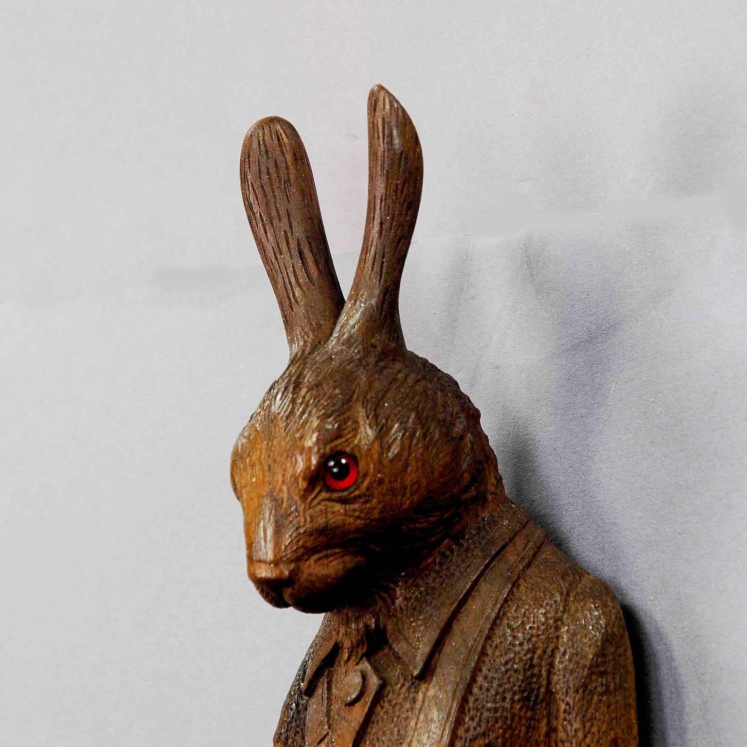 hare coat hooks