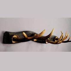 Antique Wooden Carved Wardrobe with Antlers
