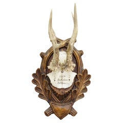 Wall-mounted Sculptures