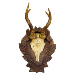 Wall-mounted Sculptures