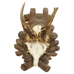 Wall-mounted Sculptures