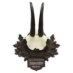 Large Chamois Trophy on Carved Plaque, Austria 1947
