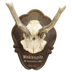 Wall-mounted Sculptures