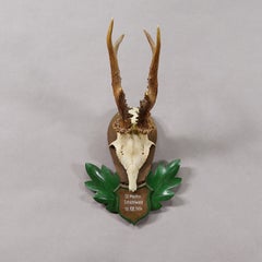 Great Black Forest Red Deer Trophy on Carved Plaque - Germany 1954