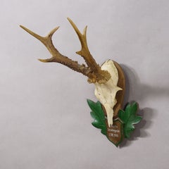 Great Black Forest Red Deer Trophy on Carved Plaque - Germany 1951