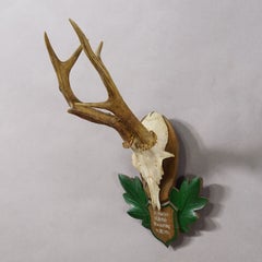 Great Black Forest Red Deer Trophy on Carved Plaque - Germany 1954